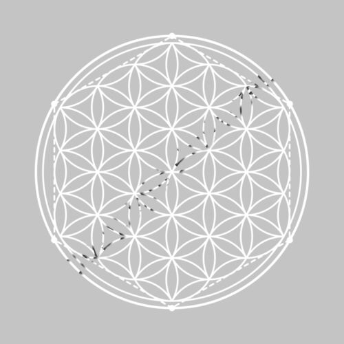 The Flower of Life Stylized Thumbnail