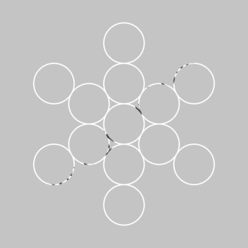 The Fruit of Life Thumbnail