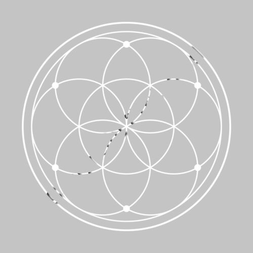 The Seed of Life Stylized Thumbnail
