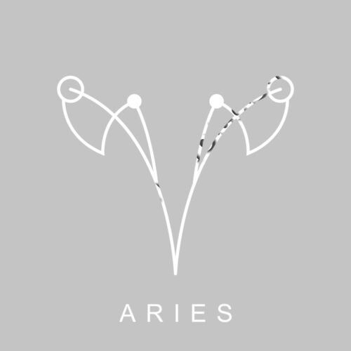 aries Thumbnail