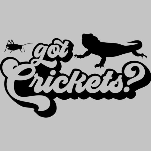 Bearded Dragon  got crickets Thumbnail