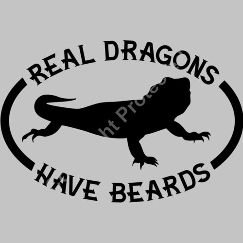 Real Dragons have beards Thumbnail
