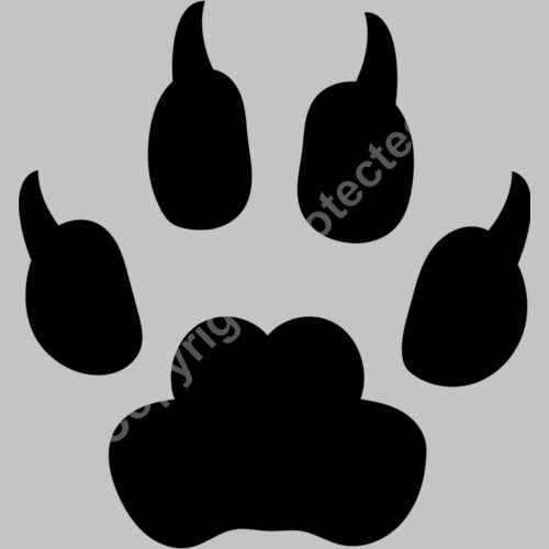 dog paw Thumbnail
