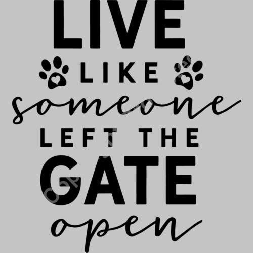 Live like someone left the gate open Thumbnail