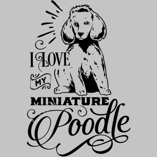Love my miniature poodle 2 Thumbnail