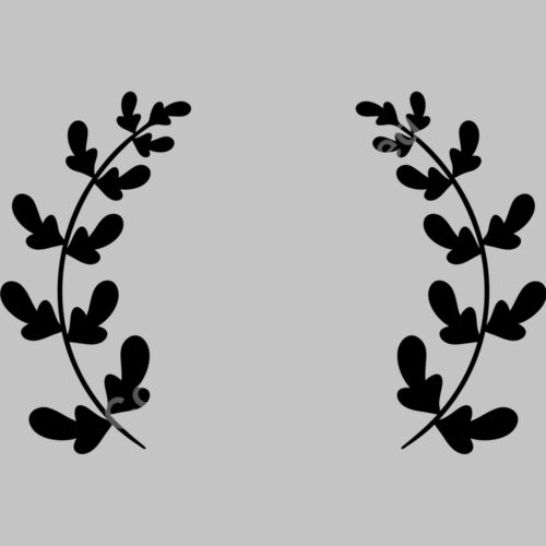 laurel a 1  5  Thumbnail