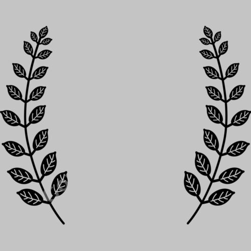 laurel b 1  2  Thumbnail