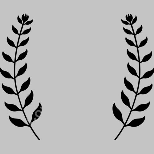 laurel b 1  3  Thumbnail