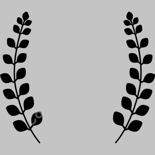 laurel b 1  4  Thumbnail