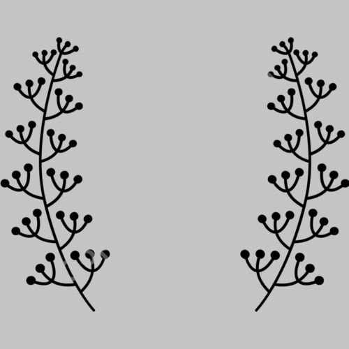 laurel b 1  5  Thumbnail