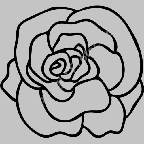 rose Thumbnail