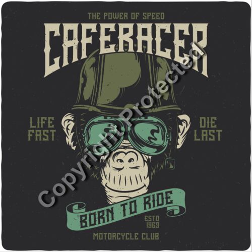 monkey2 set 5 Thumbnail