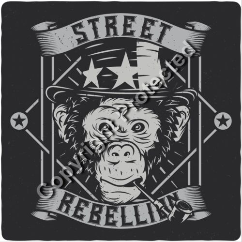 monkey2 set 6 Thumbnail