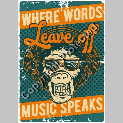 monkey2 set 9 Thumbnail