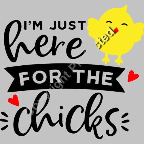 Im just here for the chicks Thumbnail