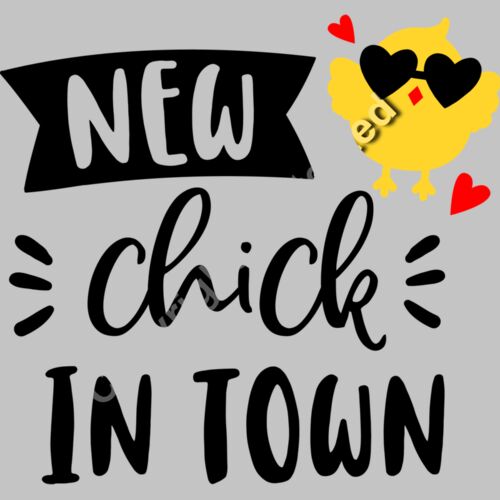 New chick in town Thumbnail