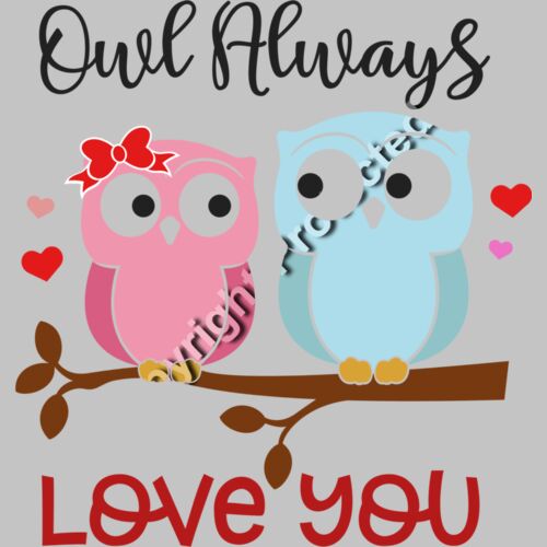 Owl always Love You Thumbnail