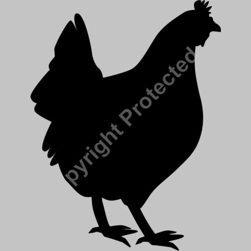 chicken Thumbnail