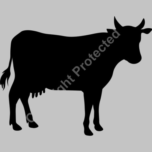 cow Thumbnail
