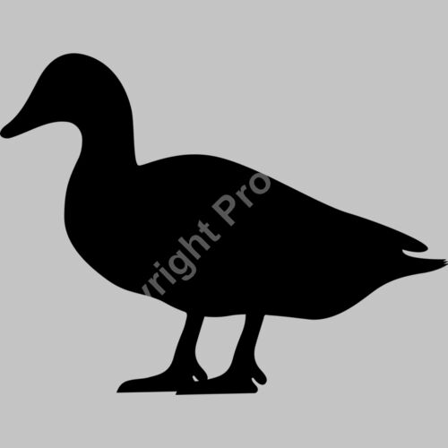 duck Thumbnail