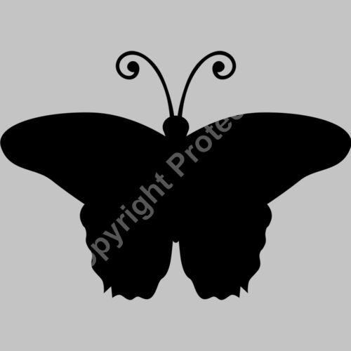 butterfly Thumbnail