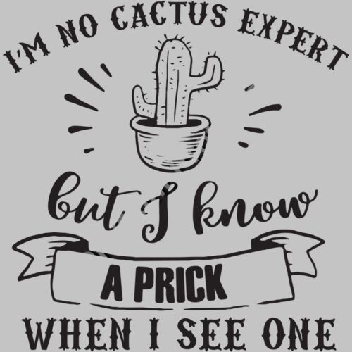 I am No Cactus Expert Thumbnail