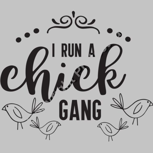 I Run a Chick Gang Thumbnail