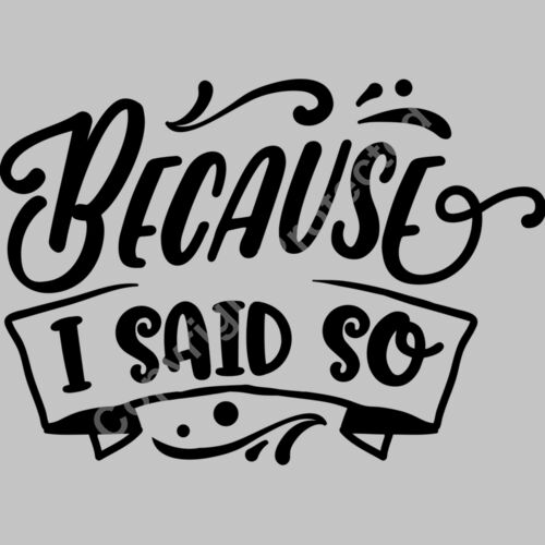 Because I said so Thumbnail