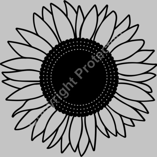 sunflower black Thumbnail