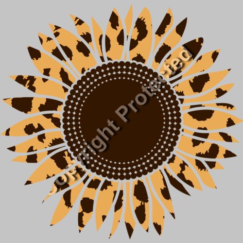 sunflower cheetah 1 Thumbnail