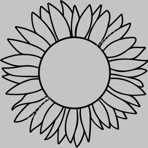 sunflower circle Thumbnail