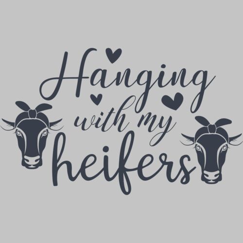 hanging heifers 01 Thumbnail