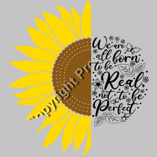 sunflower flowers Thumbnail