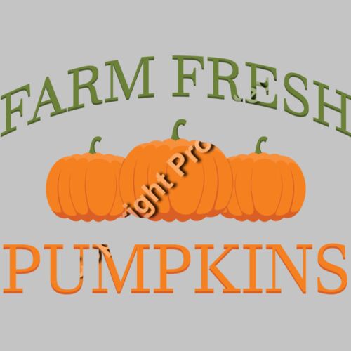 fresh pumpkins 01 Thumbnail
