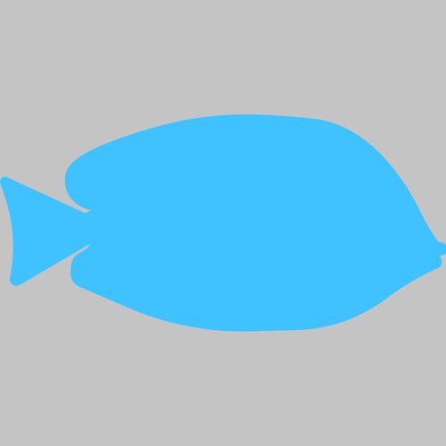 fish1 Thumbnail