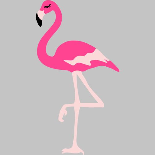 flamingo  1  Thumbnail