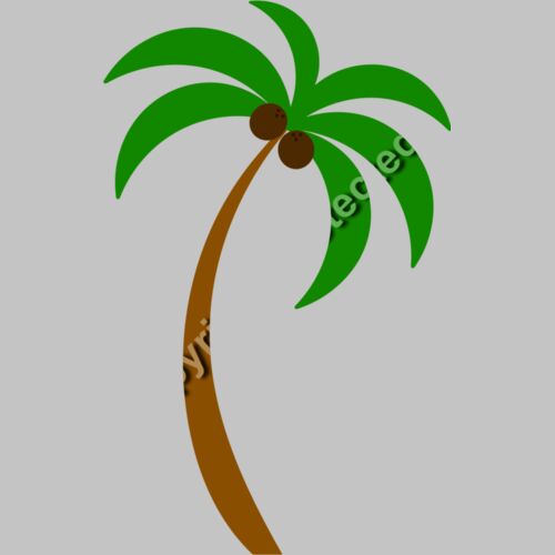 palm trees1  1  Thumbnail