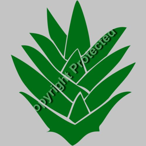 pineapple 05 Thumbnail