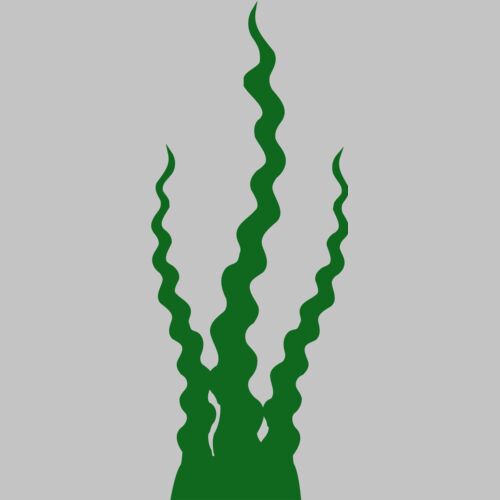 seaweed1 Thumbnail