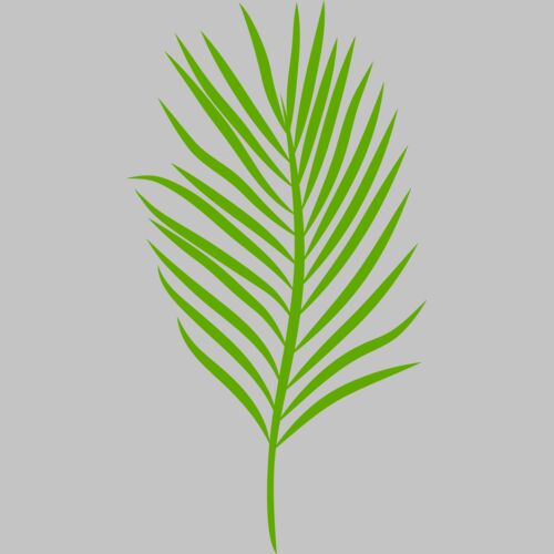 trop leaves  4  Thumbnail