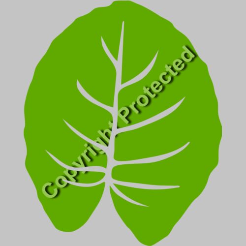 trop leaves  6  Thumbnail