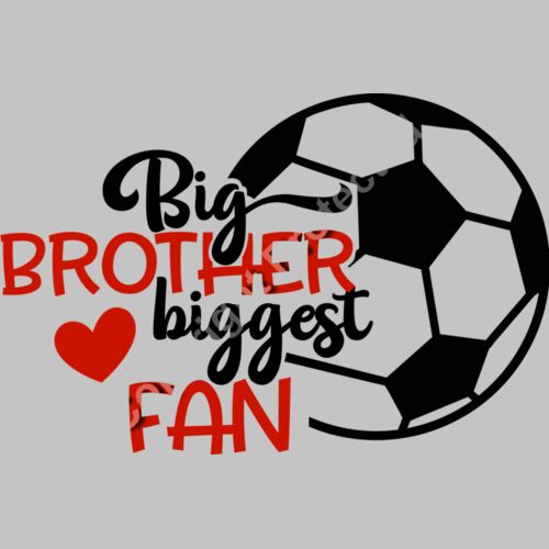 Big brother biggest fan Thumbnail