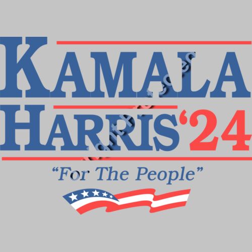 Kamala Harris 2024 campaign graphic featuring text and American flag elements    kamala harris 2 Thumbnail