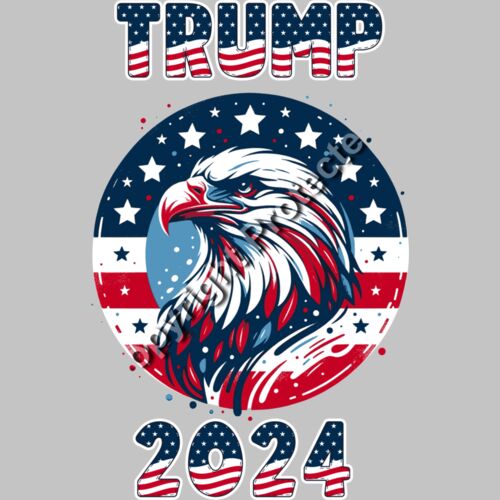 trump 2024 eagle graphic american flag stars red white blue Thumbnail