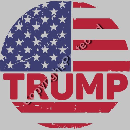 trump 2024 election american flag theme red white blue stars circle Thumbnail