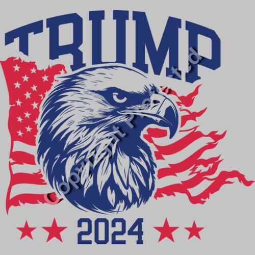 trump 2024 election eagle american flag design Thumbnail