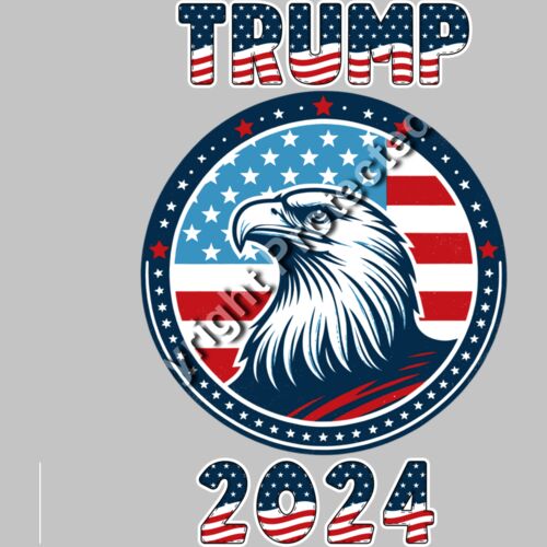 trump 2024 election eagle american flag icon Thumbnail