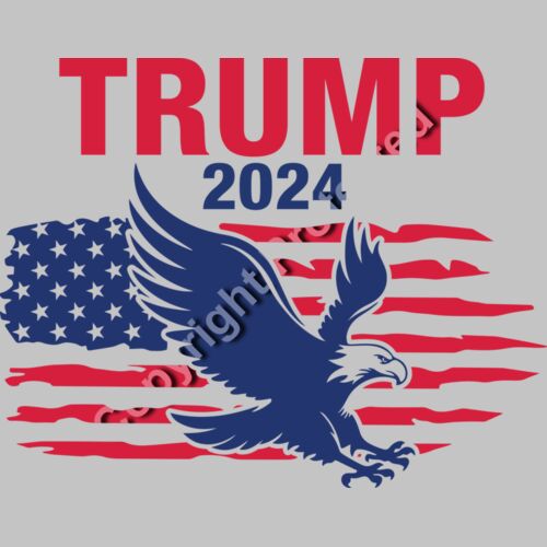 Trump 2024 election eagle graphic with American flag background Thumbnail
