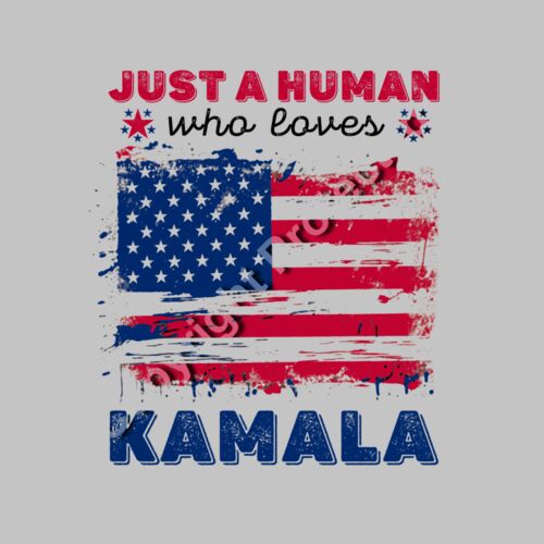 kamala harris 2024 just a human american flag tees and merchandise Thumbnail