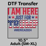 DTF Transfer 10.5" Thumbnail